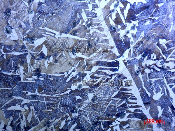 铸造质量金相分析